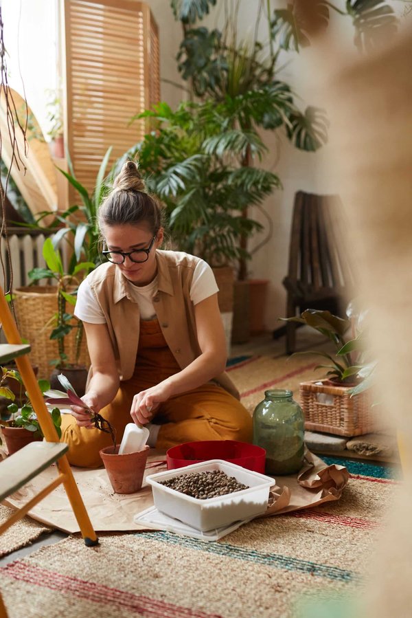 What Are the Best Pet-Friendly Plants for Your Home Garden?